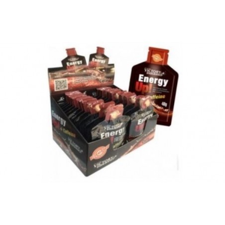 Comprar victory endurance energy up gel cafeina cola 24ud.