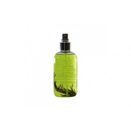 Comprar agua fresca del bosque 250ml. bio