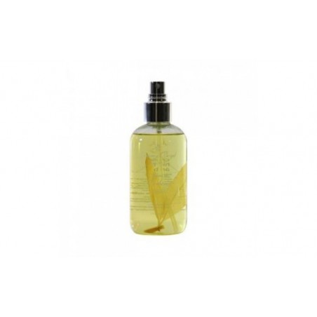 Comprar agua fresca de verbena 250ml. bio al mejor precio en Farmacia4Estaciones, tu farmacia online Comprar agua fresca de verbena 250ml. bio