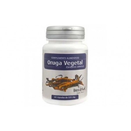 Comprar oruga vegetal (cordyceps sinensis) 60cap.