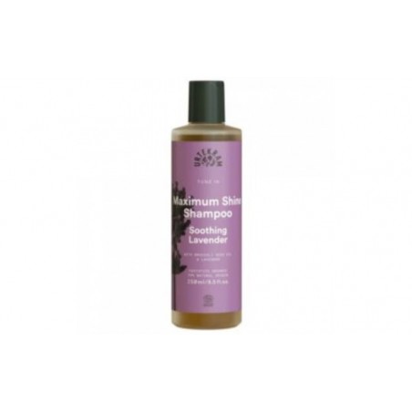 Comprar champu soothing lavender lavanda 250ml.