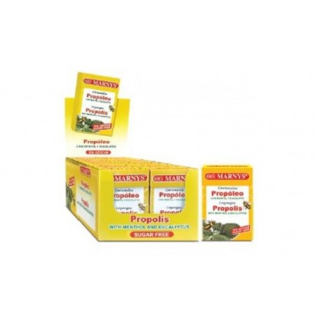 Comprar caramelos propoleo sin azucar expositor 20ud. al mejor precio en Farmacia4Estaciones, tu farmacia online Comprar caramelos propoleo sin azucar expositor 20ud.
