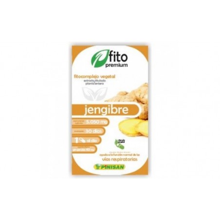 Comprar fito premium jengibre 30cap. al mejor precio en Farmacia4Estaciones, tu farmacia online Comprar fito premium jengibre 30cap.