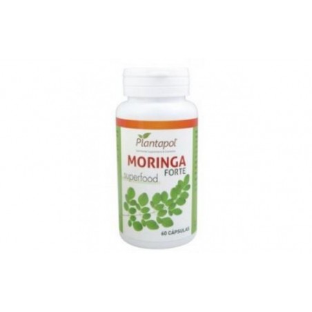 Comprar moringa forte 60cap.