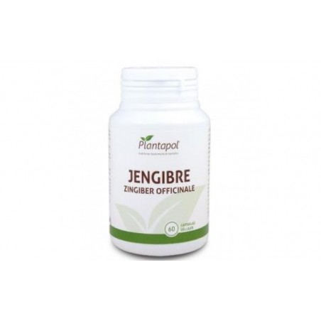 Comprar jengibre 600mg. 60cap.