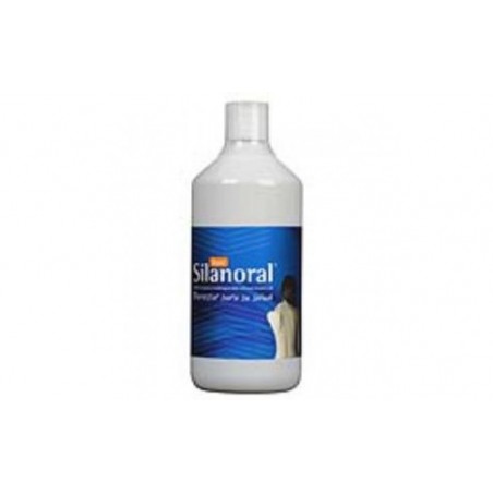 Comprar silanoral basic 1litro.