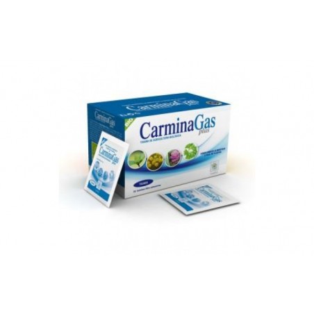 Comprar rapidgas (carminagas) bio tisana 20sbrs.