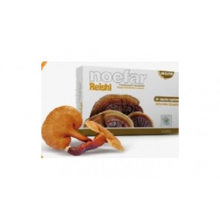 Comprar reishi 30cap. al mejor precio en Farmacia4Estaciones, tu farmacia online Comprar reishi 30cap.
