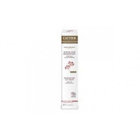 Comprar crema de dia redensificante arrugas y firmeza 50ml.