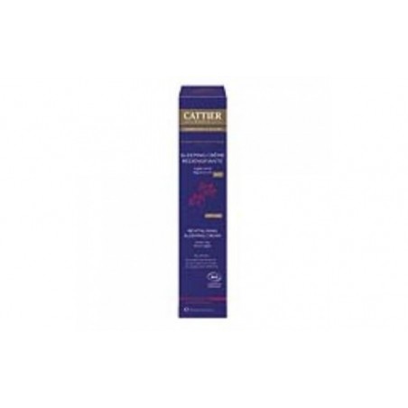 Comprar sleeping cream redensificante arrugas/firmeza 50ml.