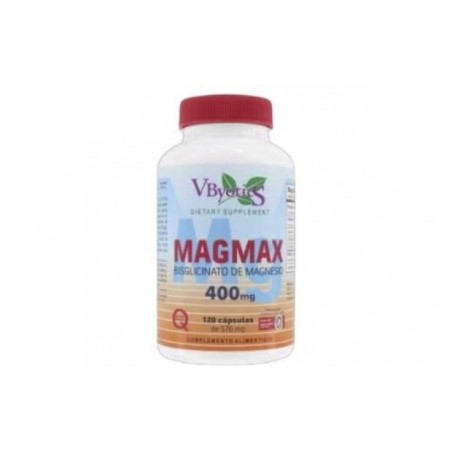 Comprar magmax biglicinato 120cap. caducidad 7/2024