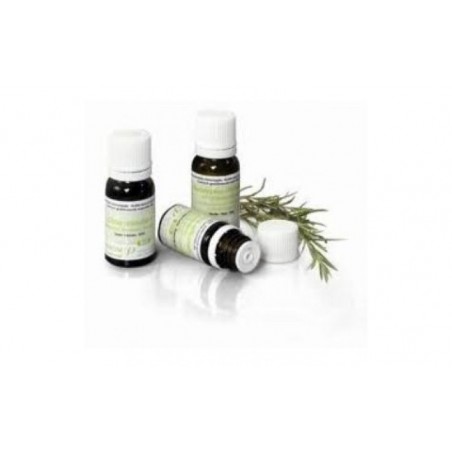 Comprar menta piperita aceite esencial bio 5ml.