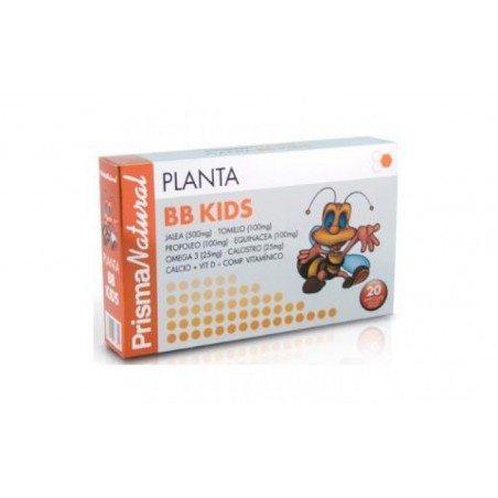 Comprar planta bb kids 20amp.