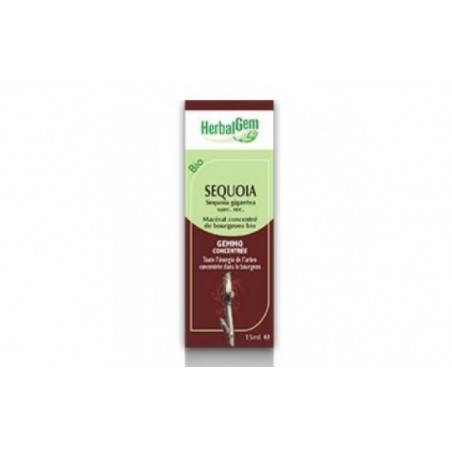 Comprar sequoia macerado glicerinado 50ml.