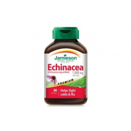 Comprar echinacea raiz ext. (5:1) 30cap.
