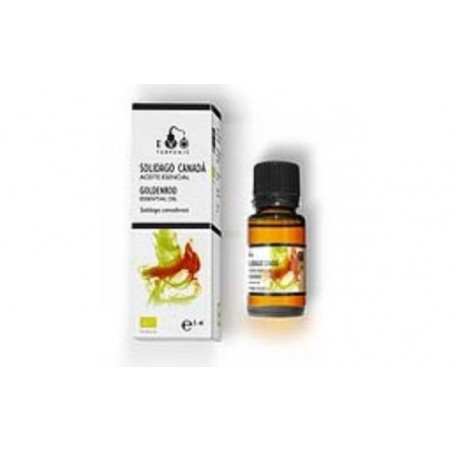 Comprar solidago de canada aceite esencial bio 5ml. al mejor precio en Farmacia4Estaciones, tu farmacia online Comprar solidago de canada aceite esencial bio 5ml.