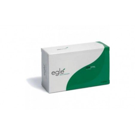 Comprar ALERVITAL 60cap. al mejor precio en Farmacia4Estaciones, tu farmacia online Comprar ALERVITAL 60cap.