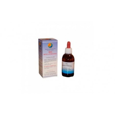 Comprar msa betula pubencens yemas 50ml.