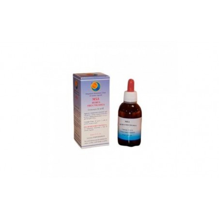 Comprar msa rubus fructicosus brotes jovenes 50ml.