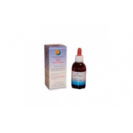 Comprar msa vitis vinifera brotes jovenes 50ml.