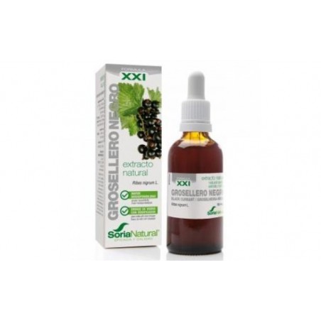 Comprar EXT. GROSELLERO NEGRO XXI 50ml. s/al al mejor precio en Farmacia4Estaciones, tu farmacia online Comprar EXT. GROSELLERO NEGRO XXI 50ml. s/al