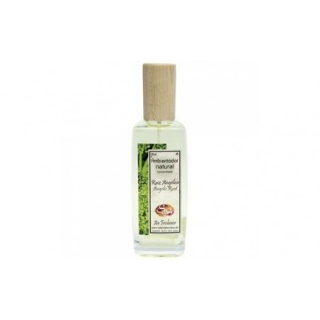 Comprar ambientador raiz angelica pulv. pack 6x100ml.