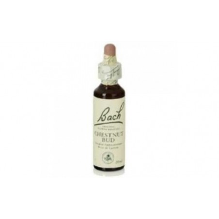 Comprar chestnut bud f.b. 20ml. (bach flowers)