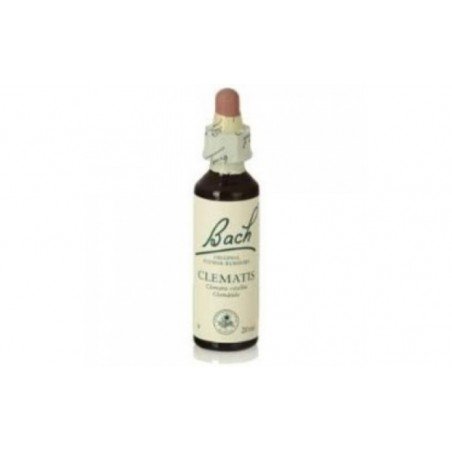 Comprar CLEMATIS F.B. 20ml. (Bach flowers) al mejor precio en Farmacia4Estaciones, tu farmacia online Comprar CLEMATIS F.B. 20ml. (Bach flowers)