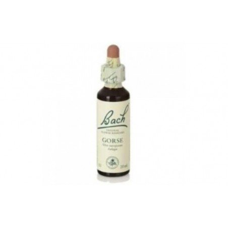 Comprar GORSE F.B. 20ml. (Bach flowers) al mejor precio en Farmacia4Estaciones, tu farmacia online Comprar GORSE F.B. 20ml. (Bach flowers)