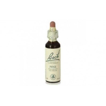 Comprar PINE F.B. 20ml. (Bach flowers) al mejor precio en Farmacia4Estaciones, tu farmacia online Comprar PINE F.B. 20ml. (Bach flowers)