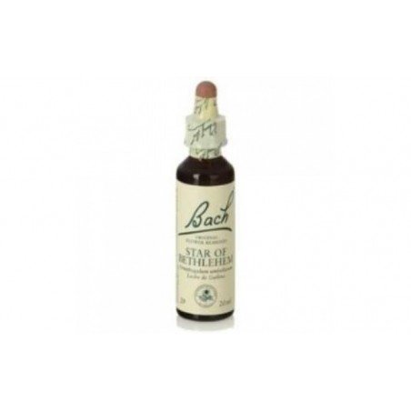 Comprar STAR OF BETHLEHEM F.B. 20ml. (Bach flowers) al mejor precio en Farmacia4Estaciones, tu farmacia online Comprar STAR OF BETHLEHEM F.B. 20ml. (Bach flowers)