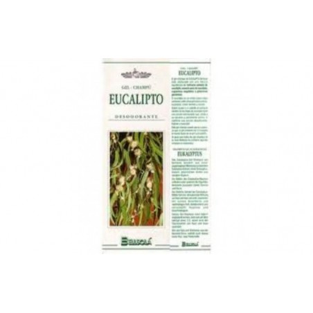 Comprar champu eucalipto caida 250ml.