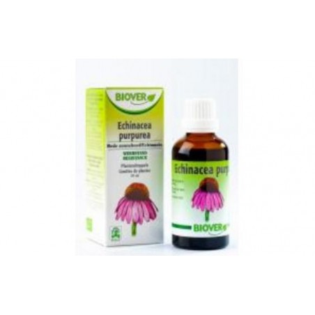 Comprar ext. echinacea purpurea (echinacea) 50ml.