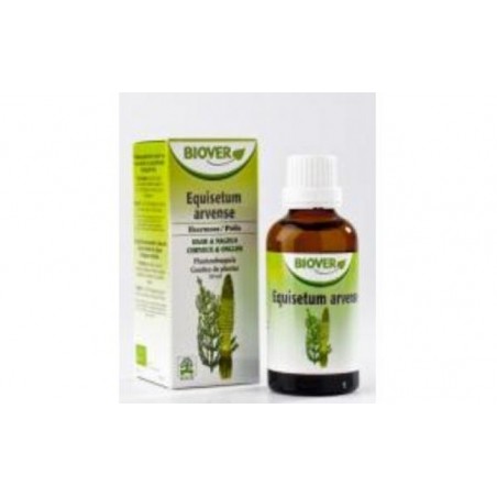 Comprar ext. equisetum arvense (cola de caballo) 50ml.