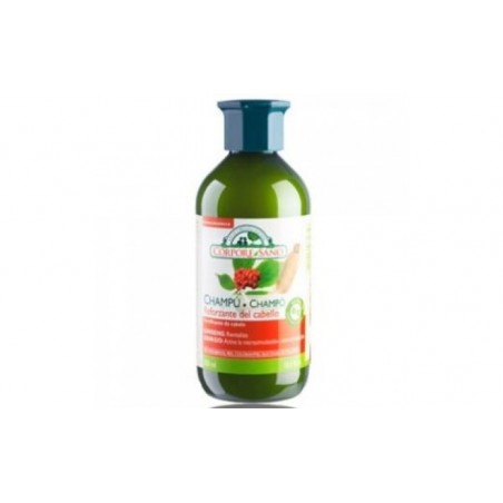 Comprar champu ginseng y ginkgo reforzante 300ml.