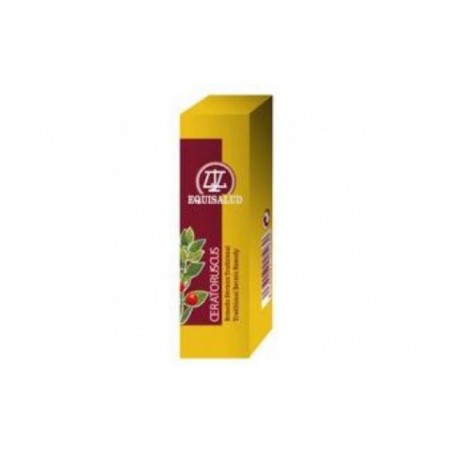 Comprar cerato ruscus 50gr.