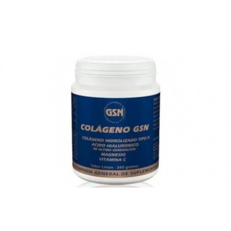 Comprar colageno gsn con acido hialuronico naranja 340gr.
