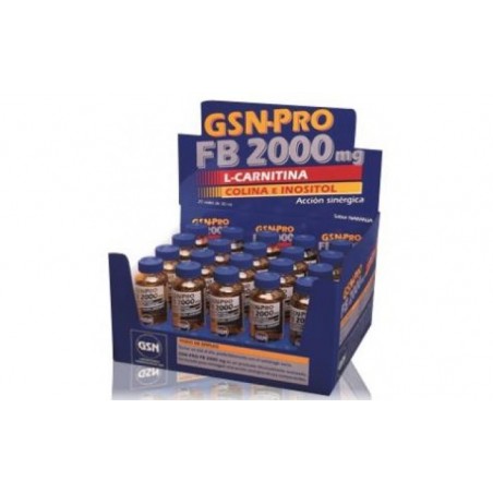 Comprar gsn-pro fb-2000mg 20viales (carnitina) 30 ml.