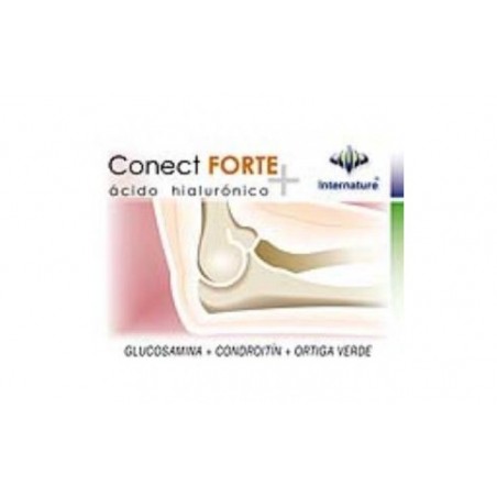 Comprar conect forte 60cap.