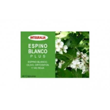 Comprar espino blanco plus 60cap.