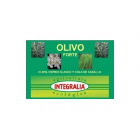 Comprar olivo forte eco 60cap.