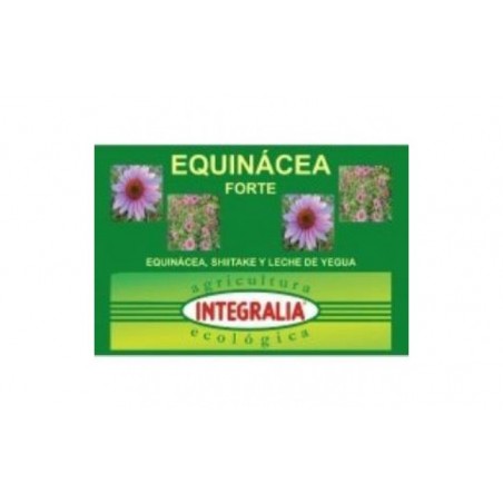 Comprar echinacea forte eco 60caps.