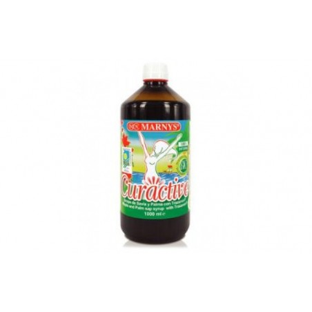 Comprar curactive sirope arce y palma con trazamin 1litro.