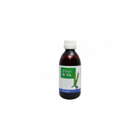 Comprar flexovit jarabe 250ml.