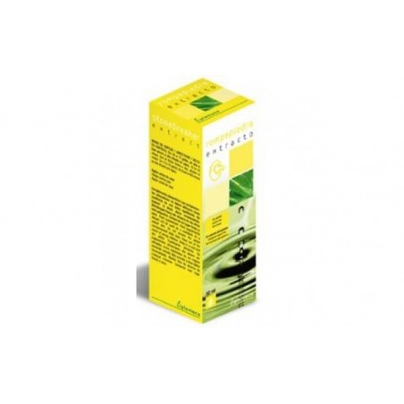 Comprar ext.rompepiedra s/al 50ml al mejor precio en Farmacia4Estaciones, tu farmacia online Comprar ext.rompepiedra s/al 50ml