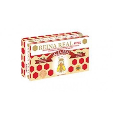 Comprar reina real vital 30amp.