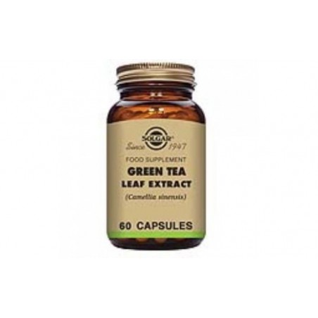 Comprar te verde-hoja-(green tea) 60vegicaps.