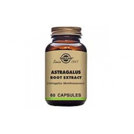 Comprar astragalus-raiz-(astragalus membranac.) 60ve