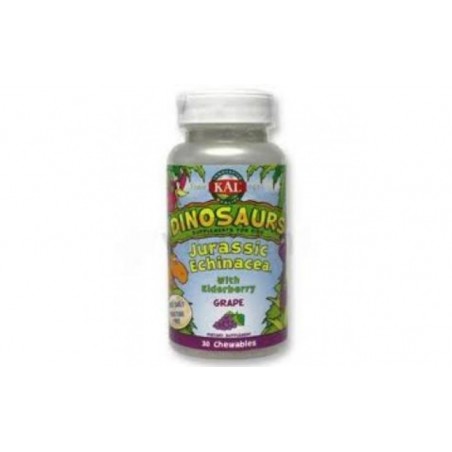 Comprar jurassic echinacea dinos 30comp. kal