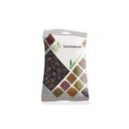 Comprar escaramujo bolsa 100gr. al mejor precio en Farmacia4Estaciones, tu farmacia online Comprar escaramujo bolsa 100gr.